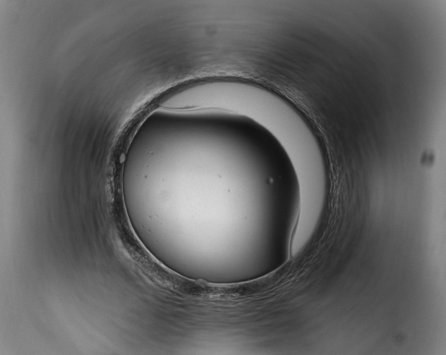 X0000115650680200911241734