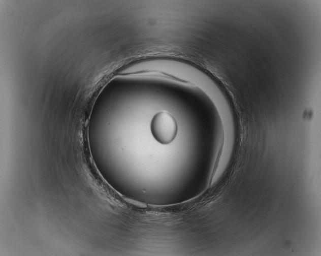 X0000115650681200911241734