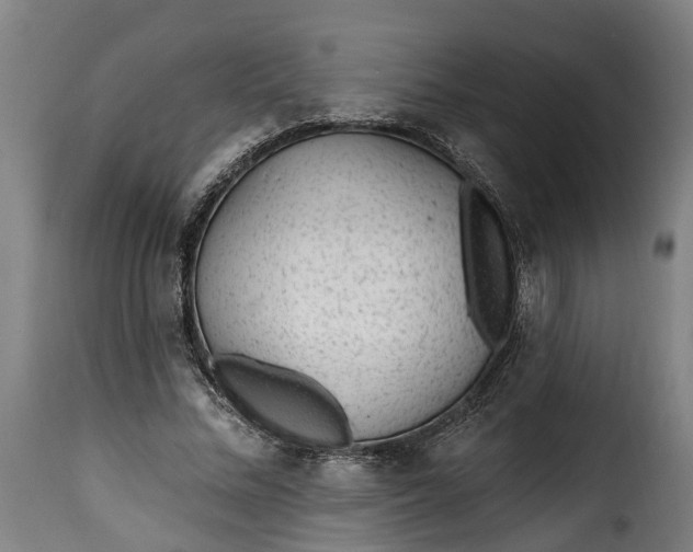 X0000115650684200911241734