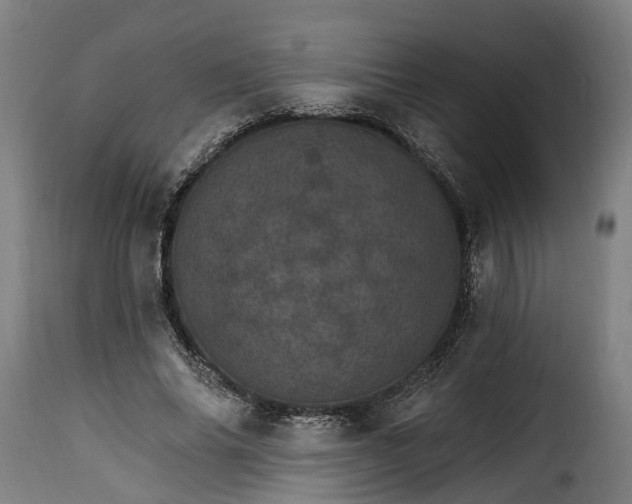 X0000115650686200911241734