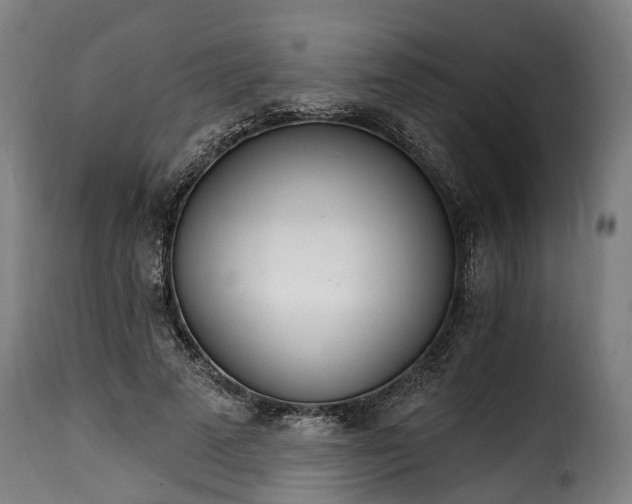 X0000115650689200911241734