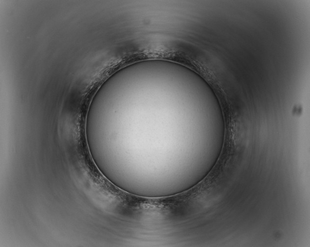 X0000115650690200911241734