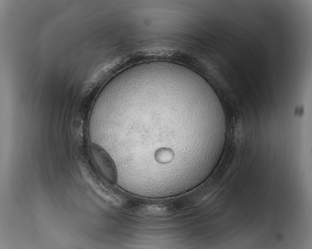 X0000115650692200911241734