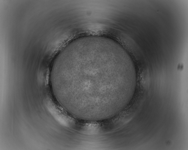 X0000115650694200911241734