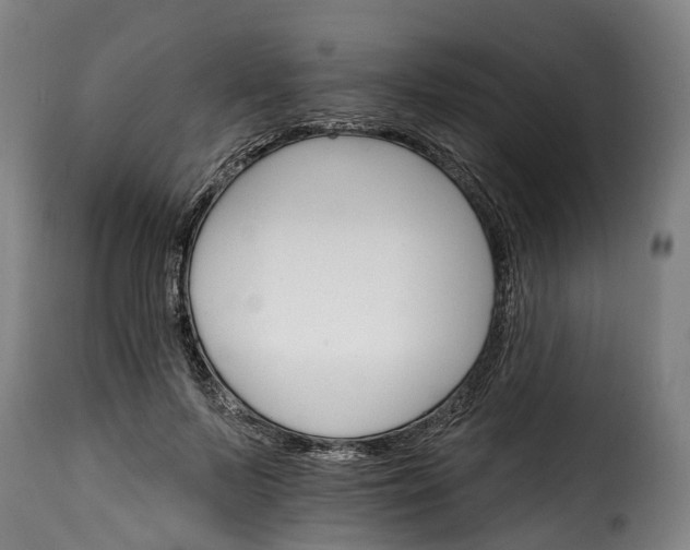 X0000115650695200911241734