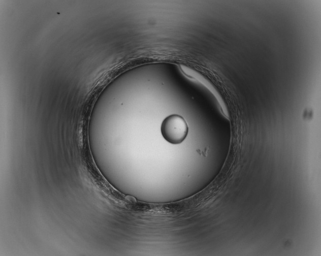 X0000115650696200911241734