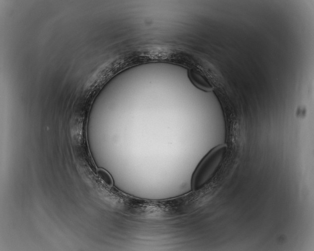 X0000115650697200911241734