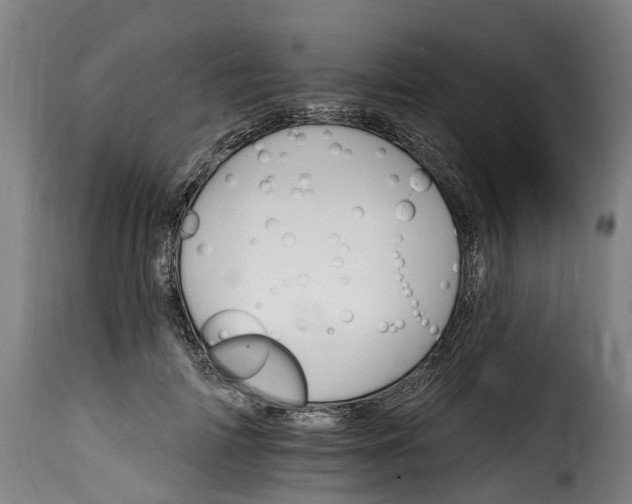 X0000115650698200911241734