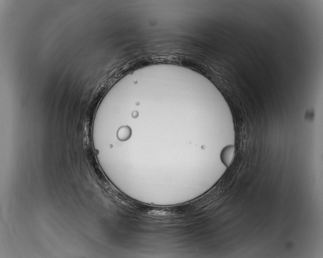 X0000115650699200911241734