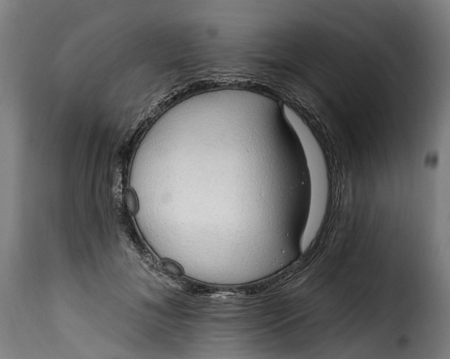 X0000115650700200911241734