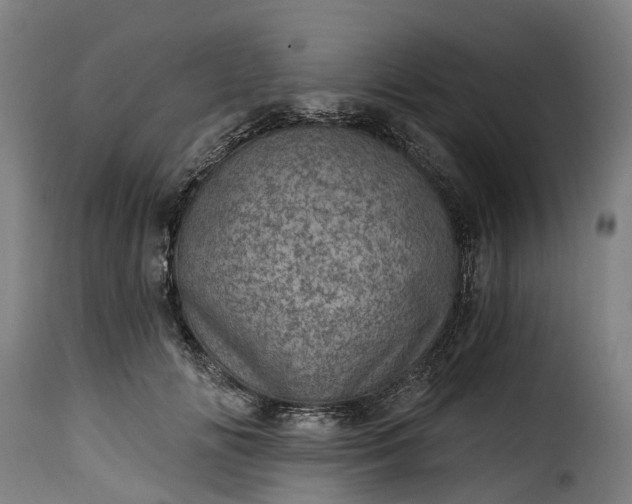 X0000115650702200911241734