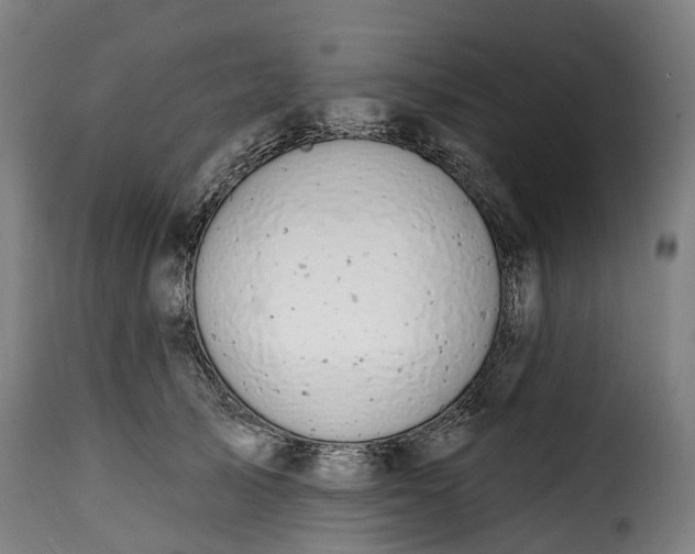 X0000115650705200911241734