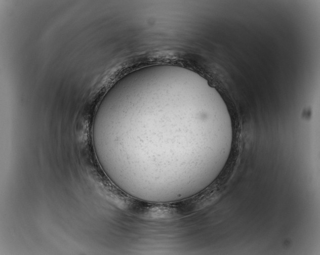 X0000115650708200911241734