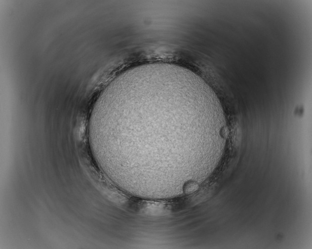 X0000115650709200911241734