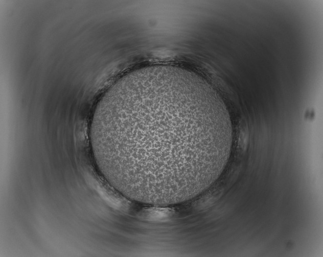 X0000115650711200911241734