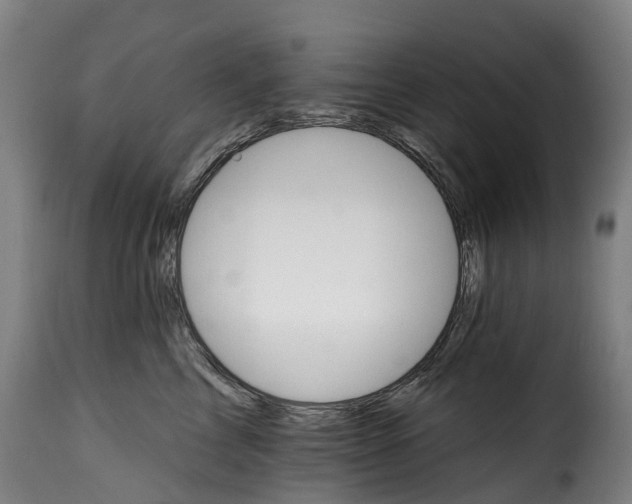 X0000115650713200911241734