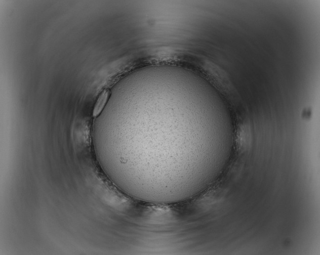 X0000115650715200911241734