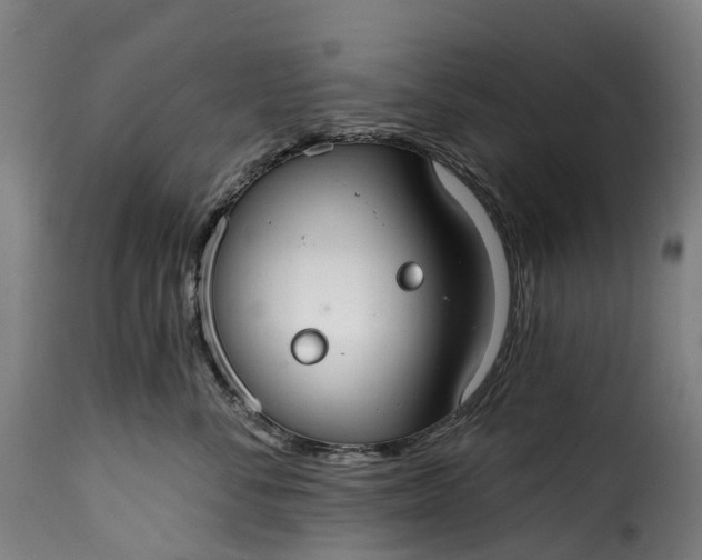 X0000115650716200911241734