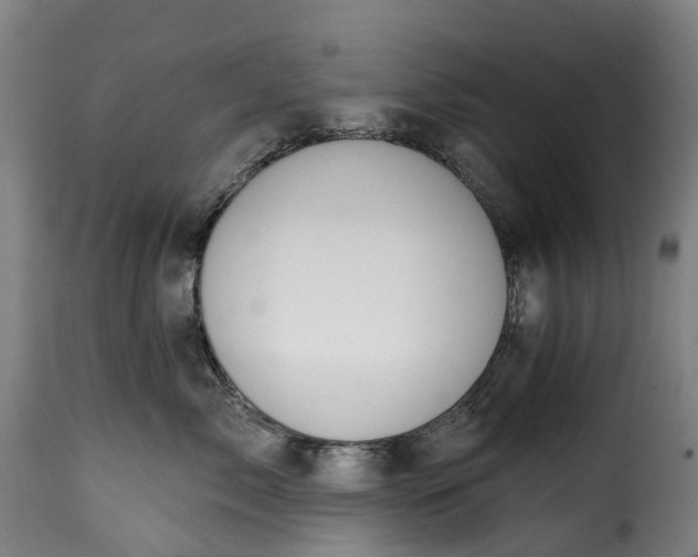 X0000115650717200911241734