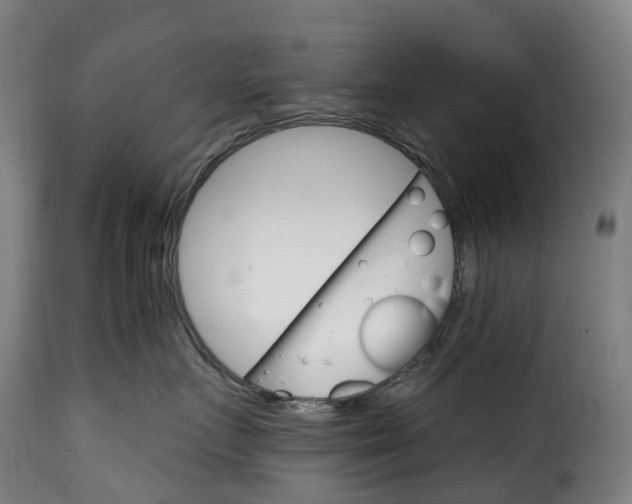 X0000115650719200911241734