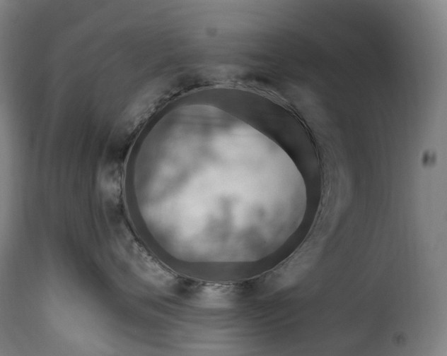 X0000115650720200911241734