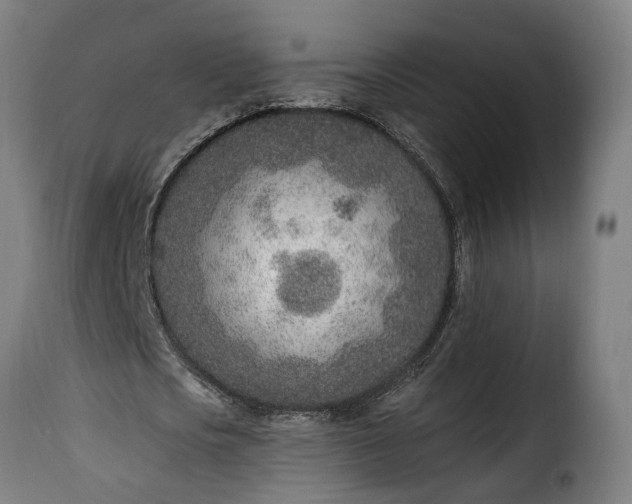 X0000115650721200911241733