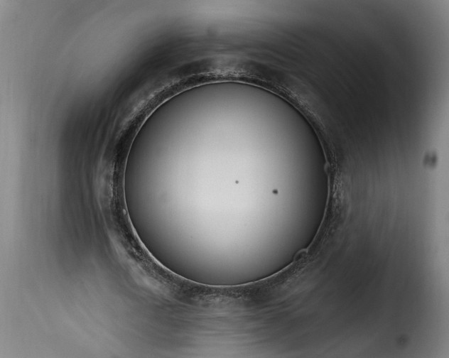 X0000115650722200911241733