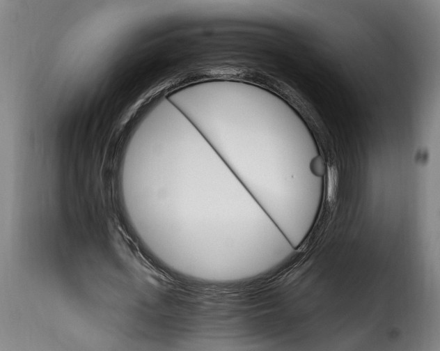 X0000115650723200911241733