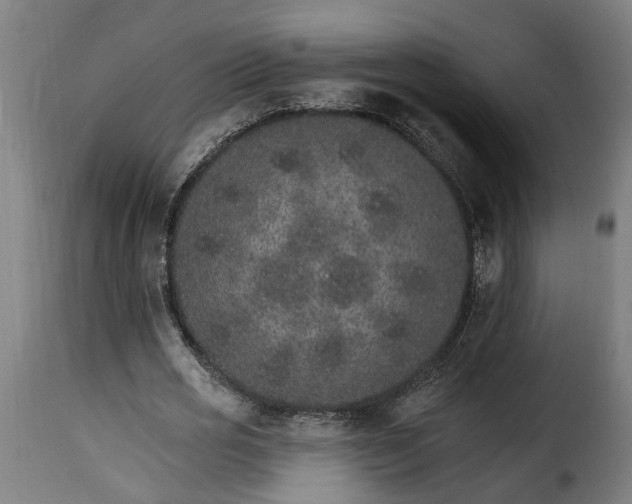 X0000115650725200911241733