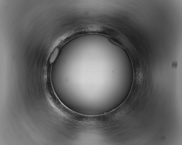 X0000115650726200911241733