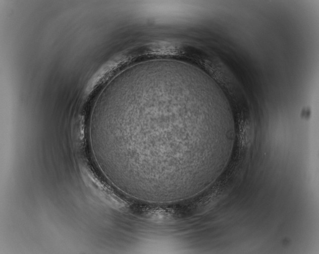 X0000115650731200911241733