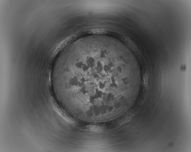 X0000115650733200911241733