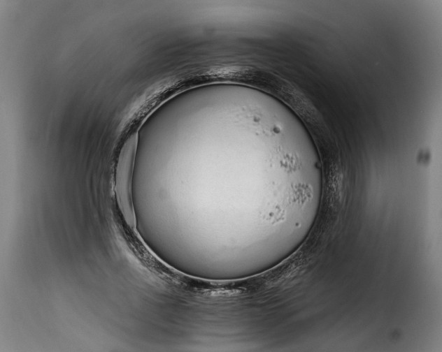 X0000115650734200911241733