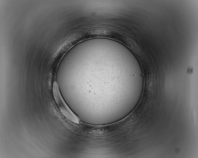 X0000115650735200911241733