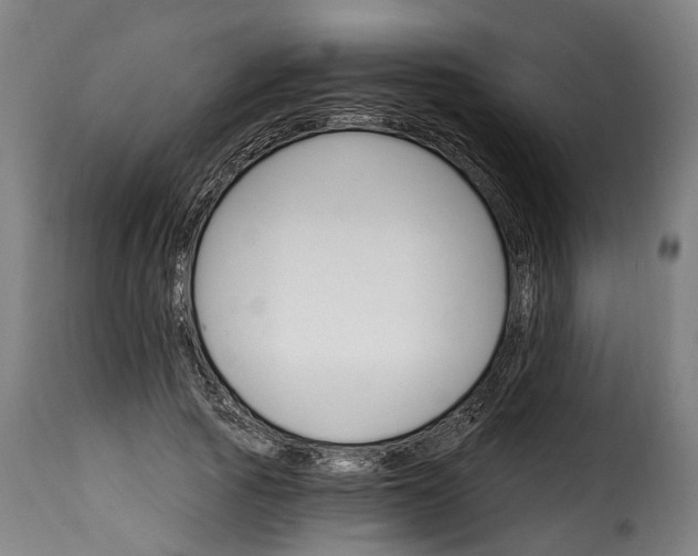 X0000115650737200911241733