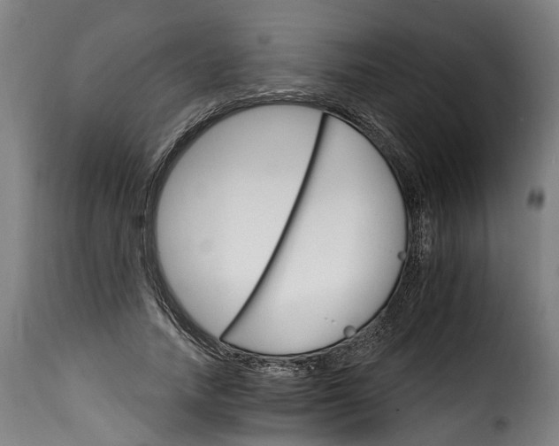 X0000115650738200911241733