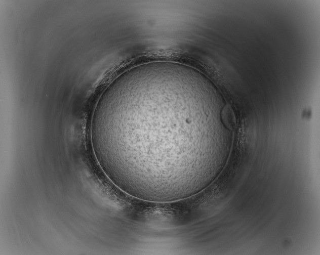 X0000115650739200911241733