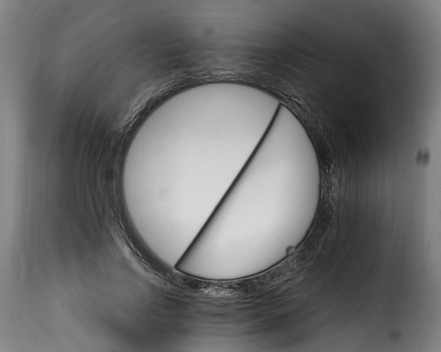 X0000115650742200911241733