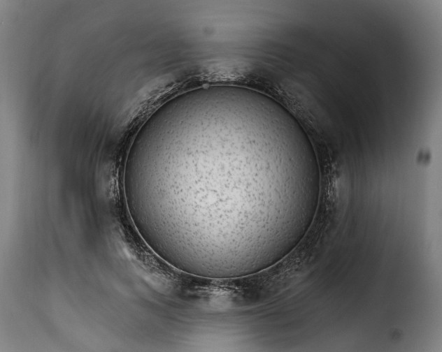 X0000115650743200911241733