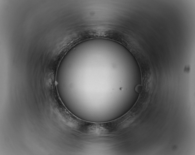 X0000115650747200911241733