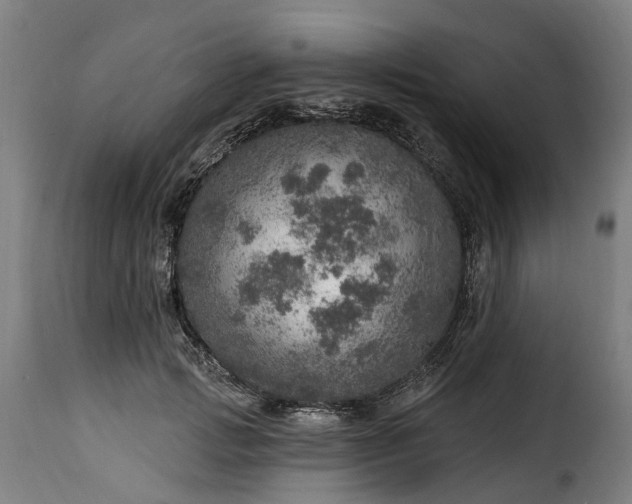 X0000115650749200911241733