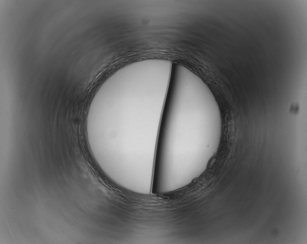 X0000115650750200911241733