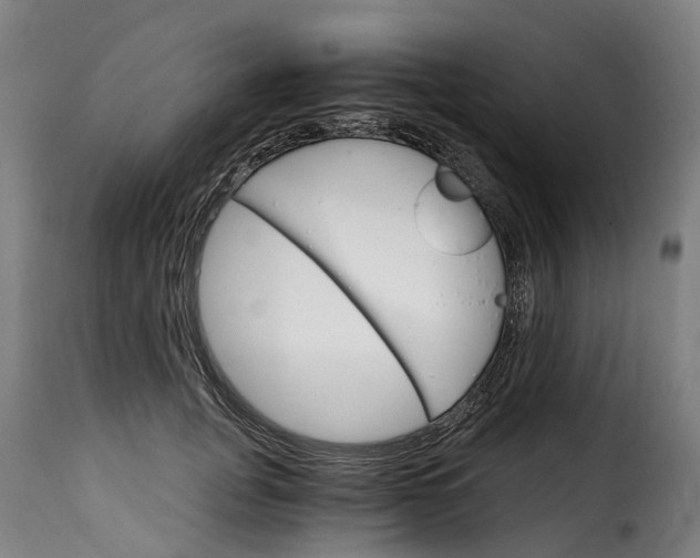 X0000115650751200911241733