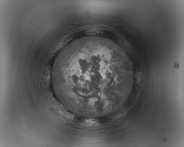 X0000115650753200911241733