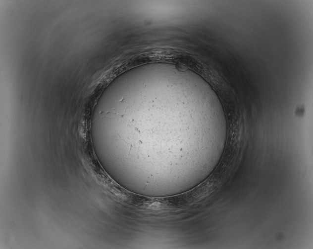 X0000115650755200911241733