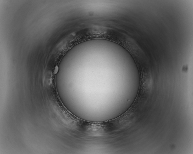 X0000115650758200911241734