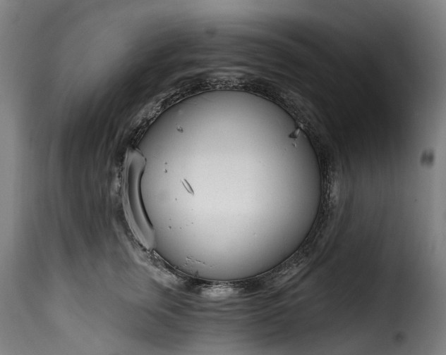 X0000115650759200911241734