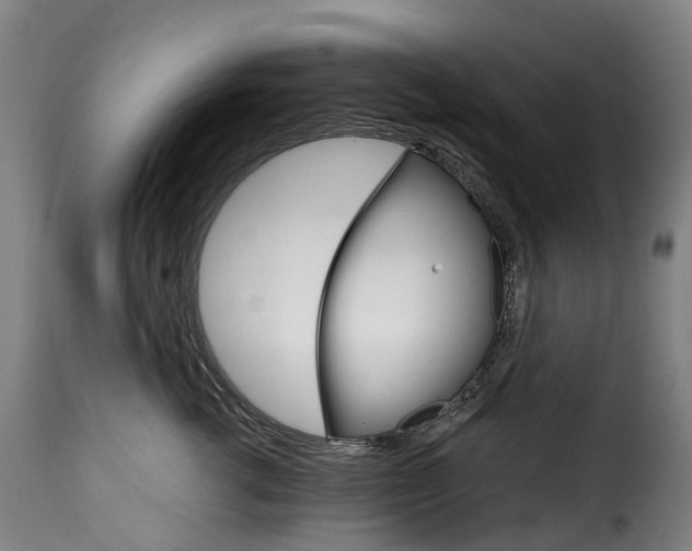 X0000115650762200911241734