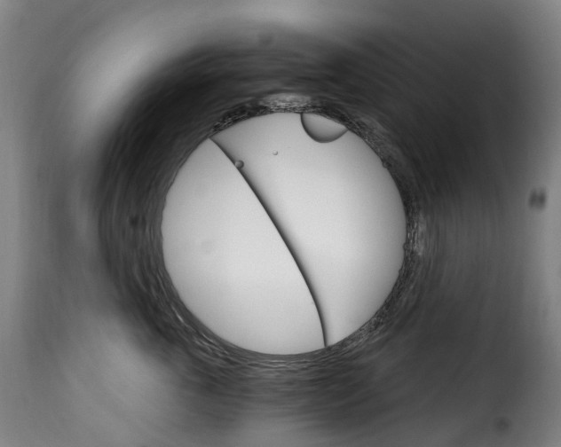 X0000115650763200911241734