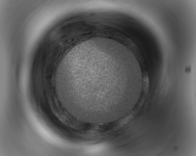 X0000115650765200911241734